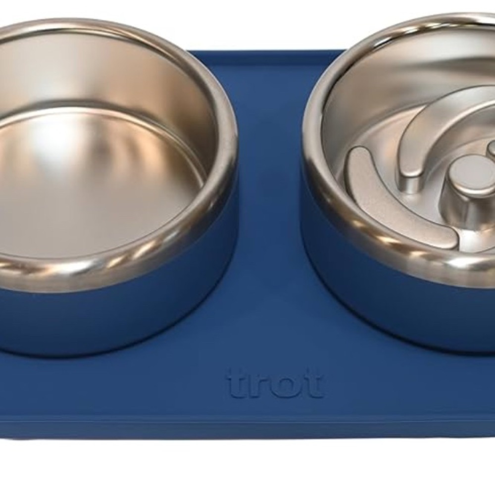 Blue Stainless Steel Dog Bowl Set